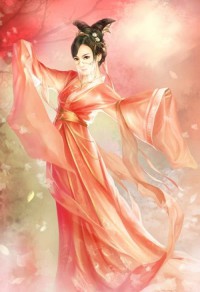 圣翼传说