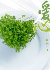 爱人心